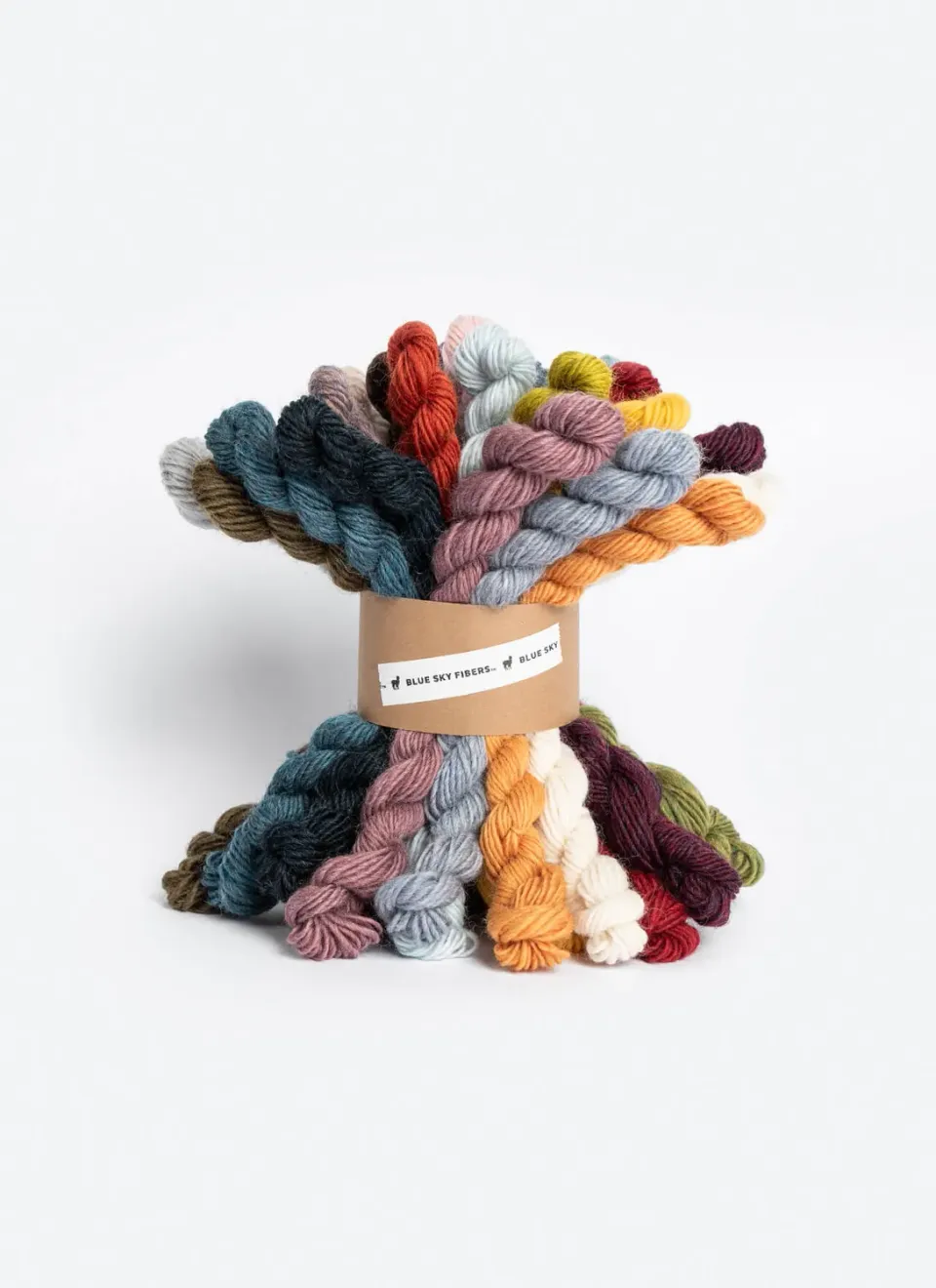 Blue Sky Fibers Woolstok Light Wollpaket 27 Farben Minis