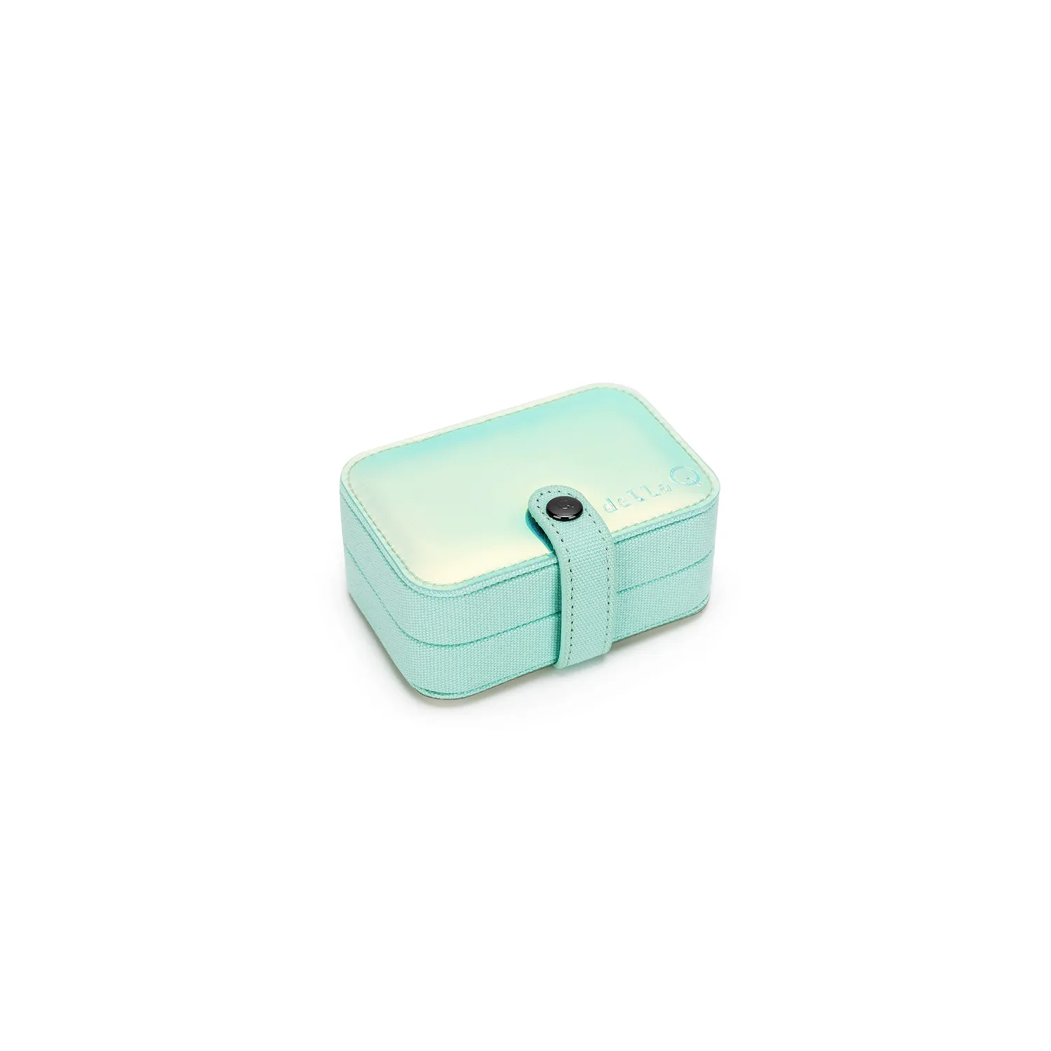 Madelinetosh Maker's Buddy Case Starlight Täschchen Magnet