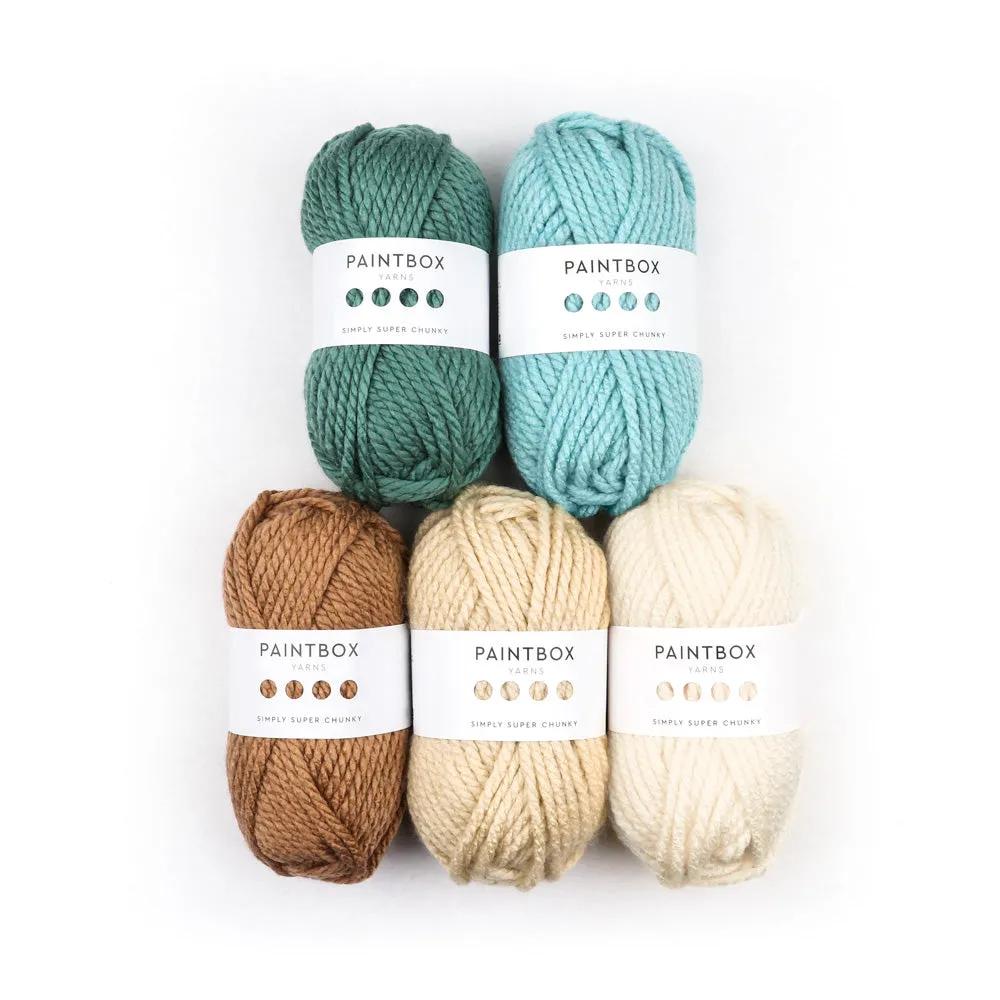 Paintbox Yarns Simply Super Chunky Acrylgarn Harmony 5x100g