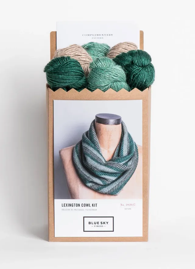 Blue Sky Fibers Lexington Loop Strickkit Babyalpaka Seide