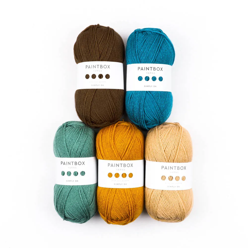 Paintbox Yarns Simply DK 5 Ball Colour Pack Wolle 5x100g Fall