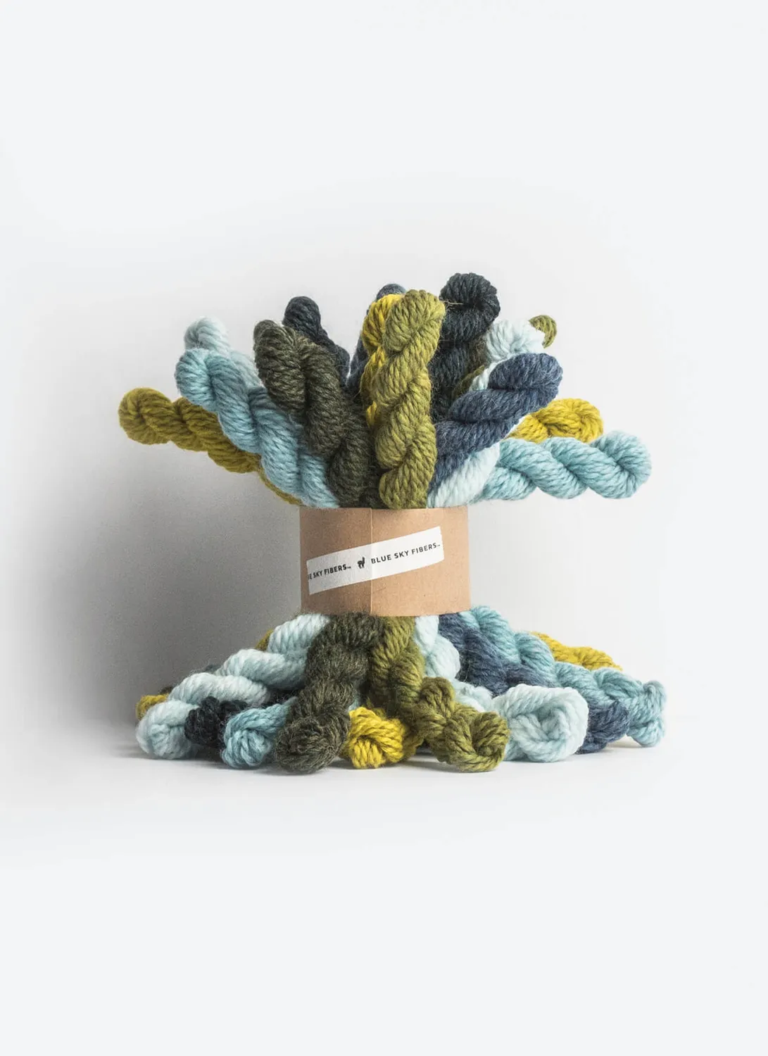 Blue Sky Fibers Woolstok Bundle Kit Cool Wollpaket 21 Minis