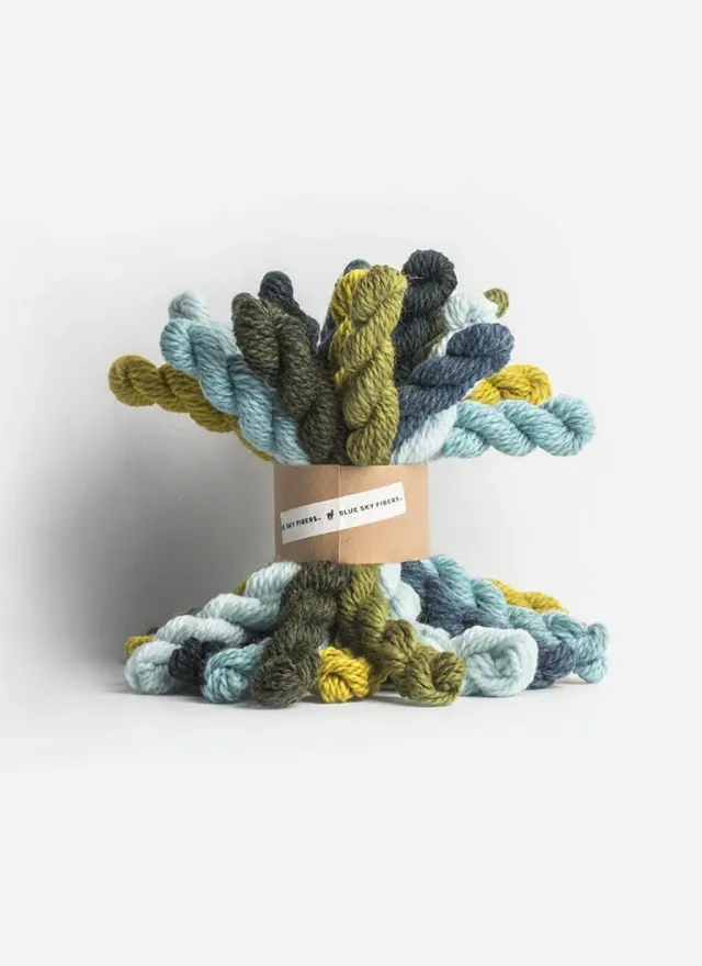 Blue Sky Fibers Woolstok Bundle Kit Cool Wollpaket 21 Minis