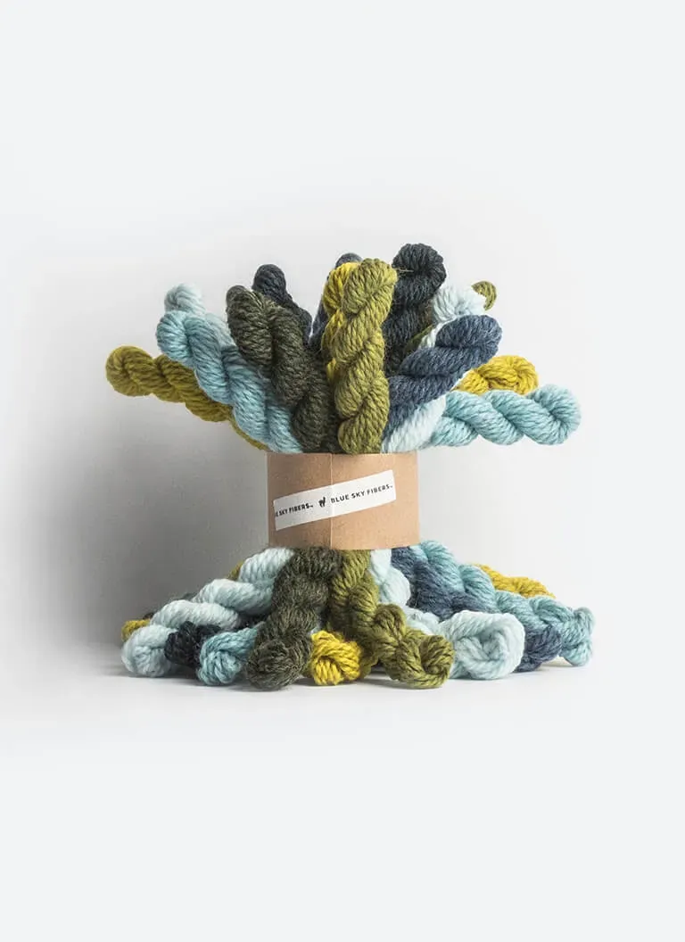 Blue Sky Fibers Woolstok Bundle Kit Cool Wollpaket 21 Minis