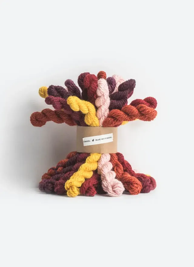 Blue Sky Fibers Woolstok Bundle Kit Warm 21 Minis