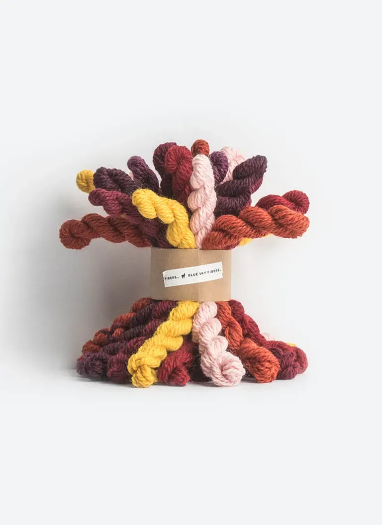 Blue Sky Fibers Woolstok Bundle Kit Warm 21 Minis