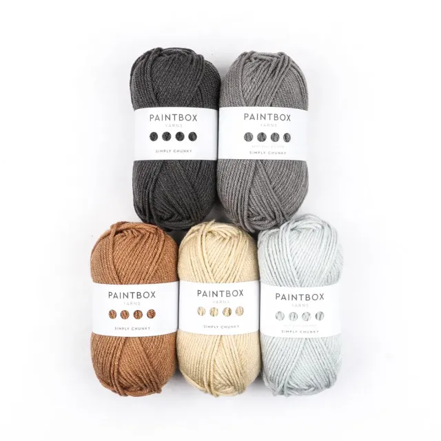 Paintbox Yarns Simply Chunky 5er Farbpaket Wolle Pebble