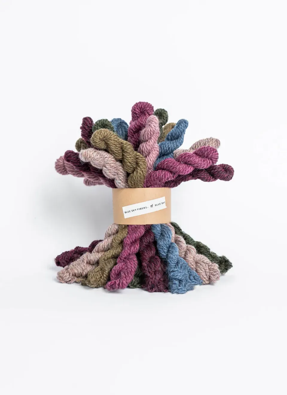 Blue Sky Fibers Woolstok Bramble & Fig Wollpaket 21 Minis
